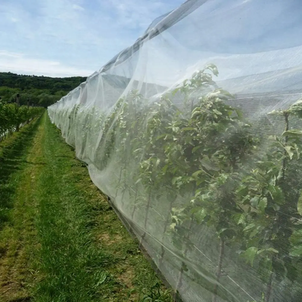 

Garden Protection Net Excellent Convenient Visible Anti Bird Protection Net Mesh Home Supply