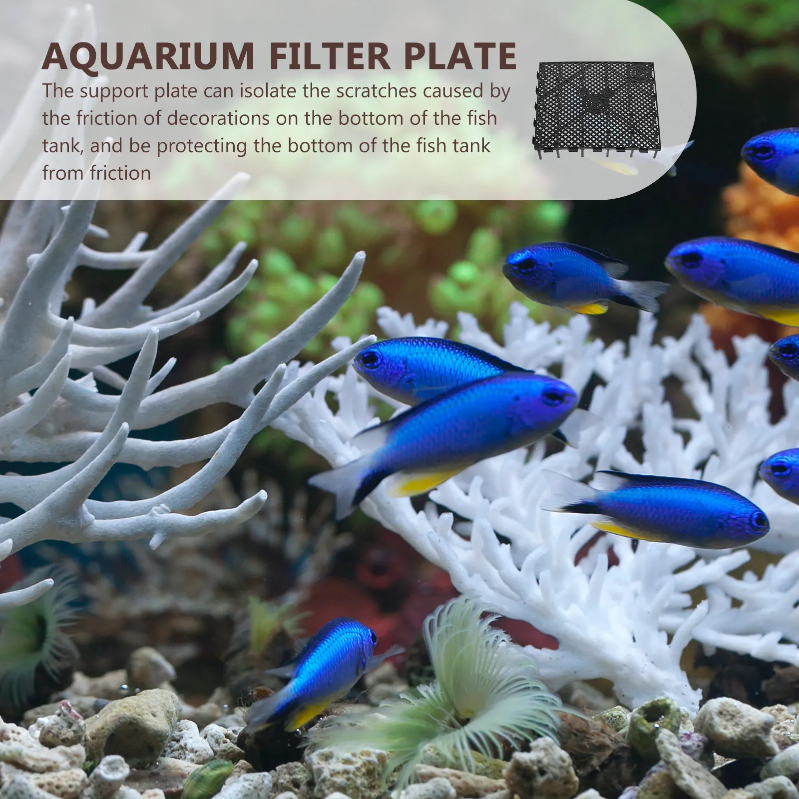 6Pcs Plastic Aquarium Filter Plate Bottom Divider for Gravel Filtration System DIY Eco-Friendly Tank Setup Convenient Splicing