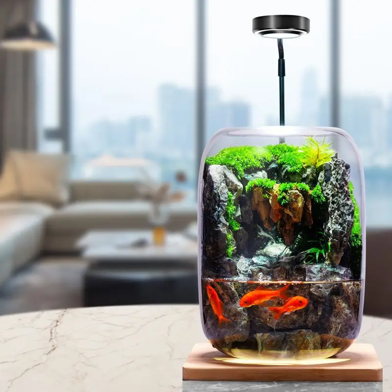 Shishang Qingquan خزان الأسماك المياه المتدفقة نبات حقيقي الطحلب المشهد الصغير زجاجة بيئية مكتب الانتهاء #5
