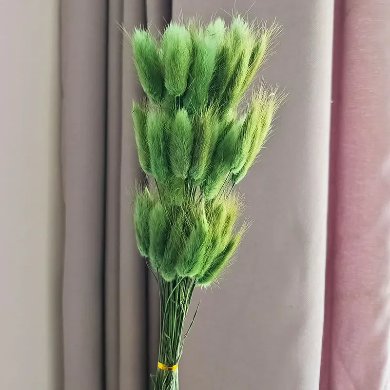 Variant: Green