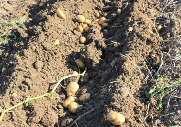 الماصدات والآلات والمحددات #5