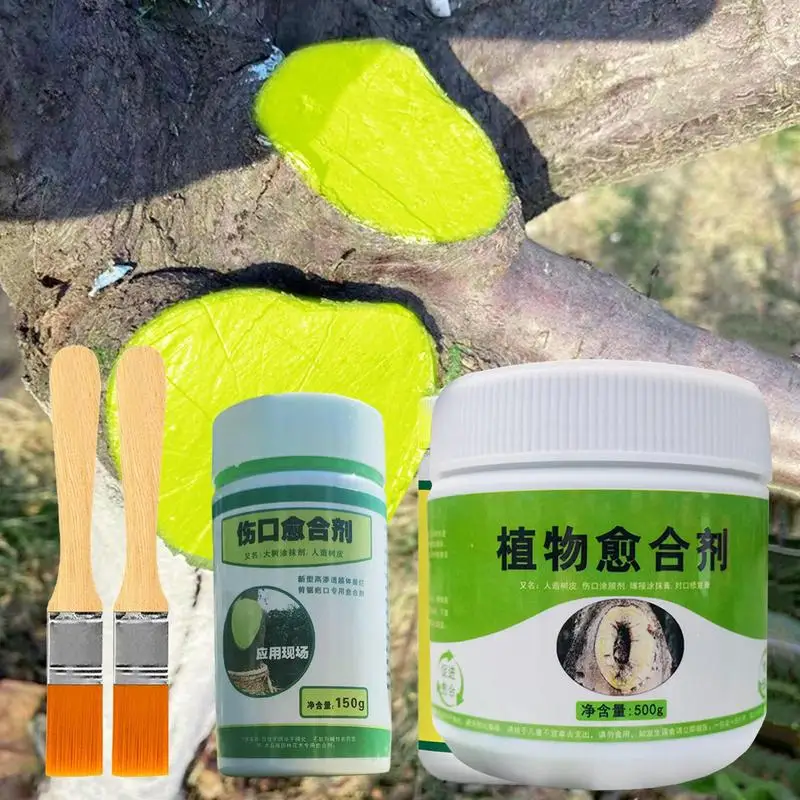 

Tree Pruning Sealer Tree Wound Repair Effective Tree Wound Sealer Dressing Repair Quick Healing Pruning Sealer Protective