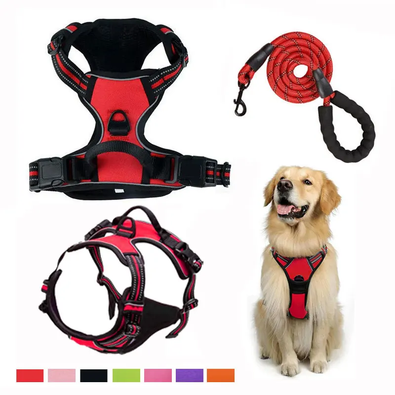 Harnais de poitrine pour chien en sangle de nylon, style gilet, doublure douce et respirante, sangle avec poignée, laisse, adapté aux chiens de taille moyenne et grande