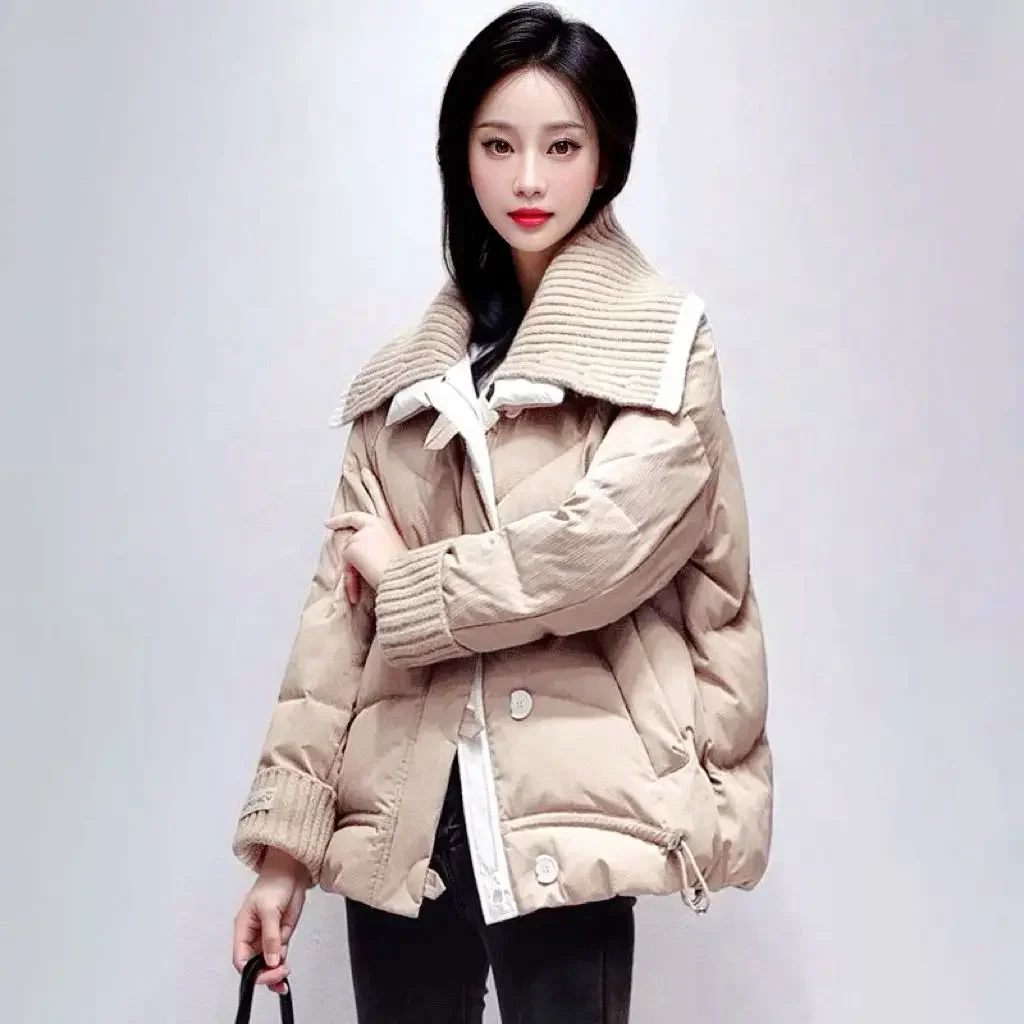 Thick Loose Casual Women's Coat Cold Hot Modern New in Outerwears Lady Parka Demi-season Winter Clothes 2024 Offers Down Jacket