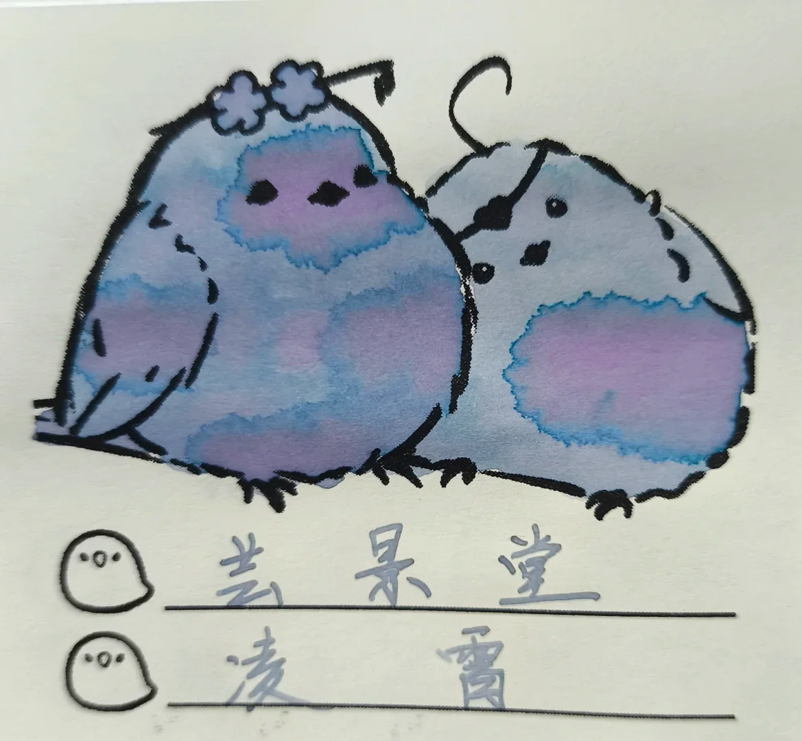 unjingtang Soaring Sky Fountain Pen Ink ，Shading Ink 20ml