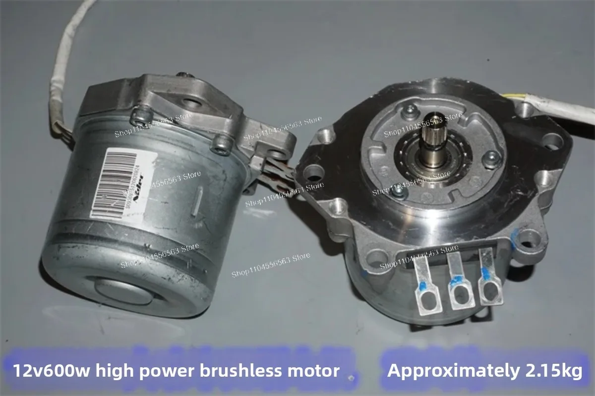 

12V 600W High-Power Rotary Converter, High-Torque DC Brushless Servo Motor for DIY Power Vehicles & Ship Propellers