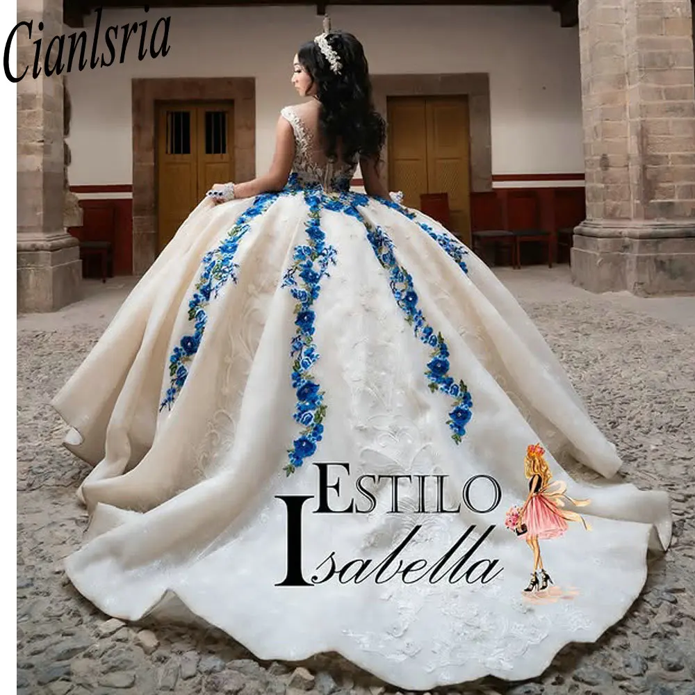 Newest Illusion Sleeveless Quinceanera Dresses Ball Gown Blue Embroidery Customized Corset Vestidos De XV Anos