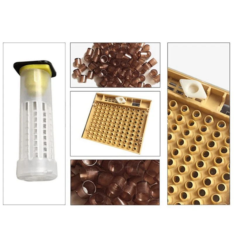 Beekeeping Tools Equipment Set Queen Rearing System Cultivating Box 220Pcs Plastic Bee Cell Cups Cup Kit Queen Cage