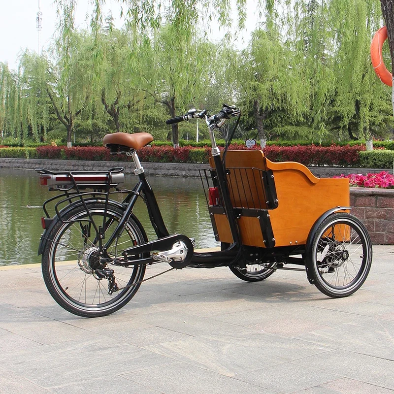 Cargo Tricycle Bike Kids Aluminum Frame Tricycle 3 Wheel Electric Cargo Bike Bicycle Black Frame Can Be Customize Colors