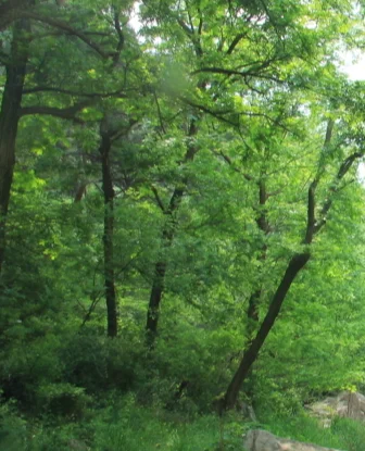 

4,3-дюймовый Wi-Fi видео дверной звонок беспроводной двусторонний домофон инфракрасный дверной звонок камера умный дом безопасность ночное видение визуальный дверной звонок