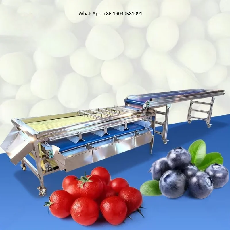 Automatic Potato Red Date Mango Sorter Blueberry Garlic Onion Size Sort and Grade Machine