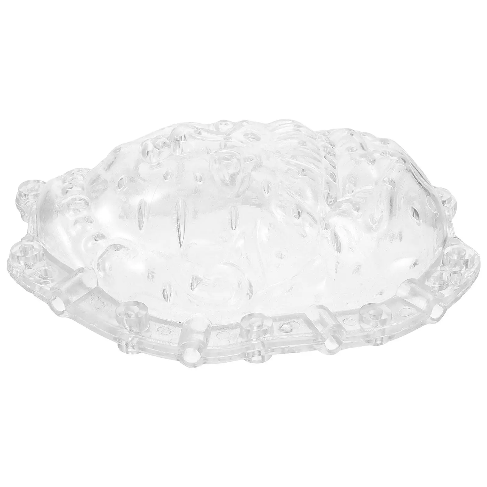 Acrylic Fruit Growing Mold Clear Reusable Shaping Tool for Ginseng Fruit Melon Vegetable Sculpting Garden Yard Backyard Planting
