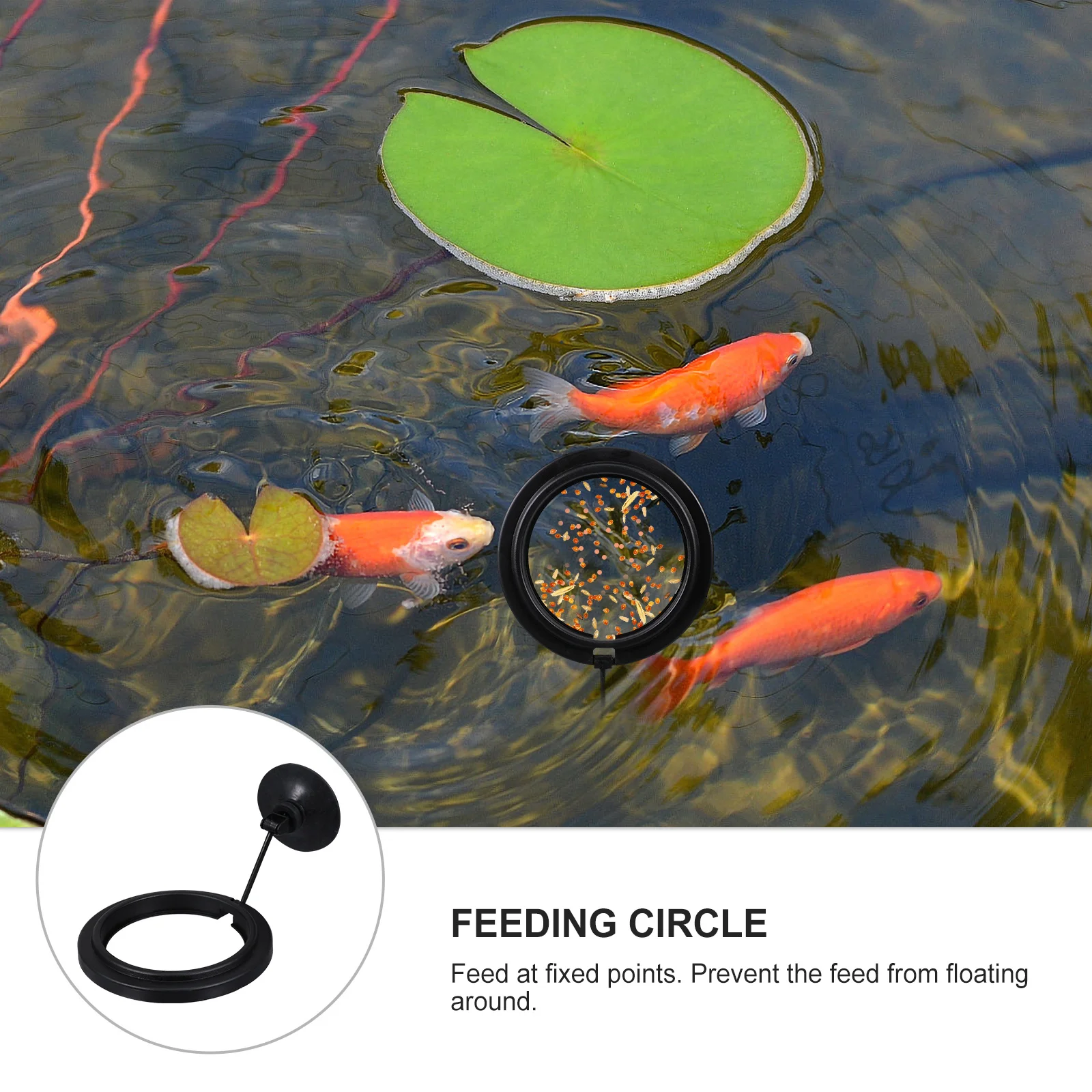 1Pcs Floating Feeder Circle Fish Tank Supplies Suction Cup Attachment High End Plastic Safe Environmental Friendly Considerate