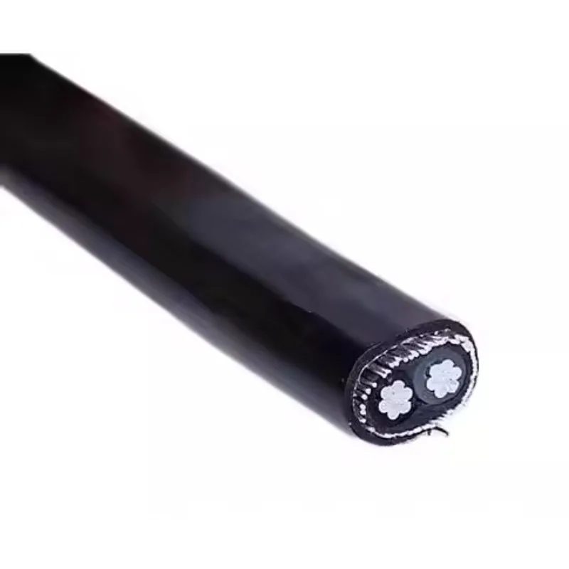 【من الصين】2 Core 10mm2 16mm2 25mm2 35mm2 كابل موصل نحاسي متحدة المركز XLPE معزول