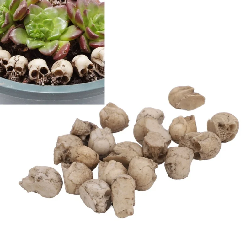 20PCS Miniature Skull Realistic Resin Reusable Miniature Skeleton Head For Micro Landscape Garden Pot Decoration