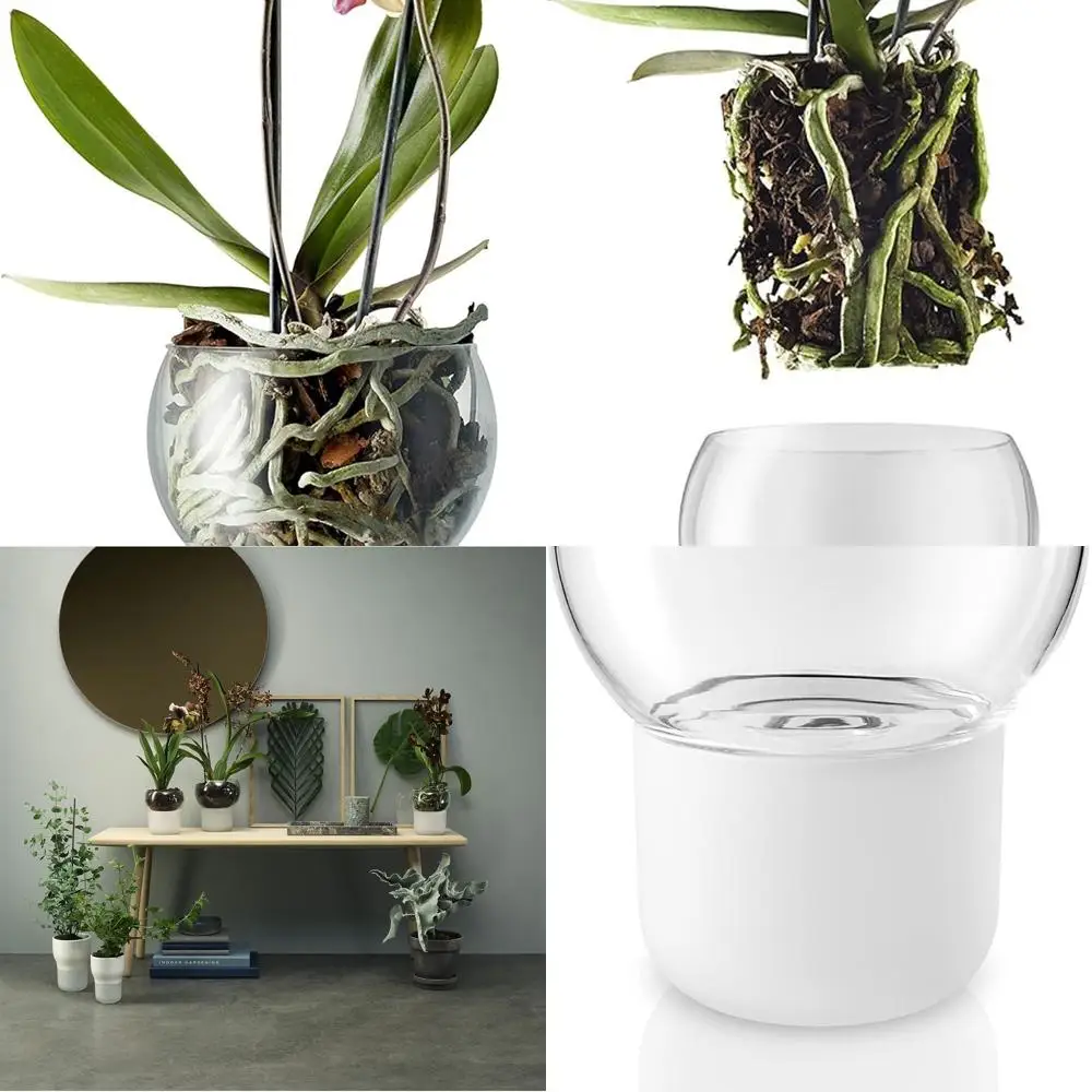 

Самополивный горшок для орхидей — диаметр 15 см, удерживающий комнатные растения, цветы, травы, овощи, датский дизайн, матовое стекло