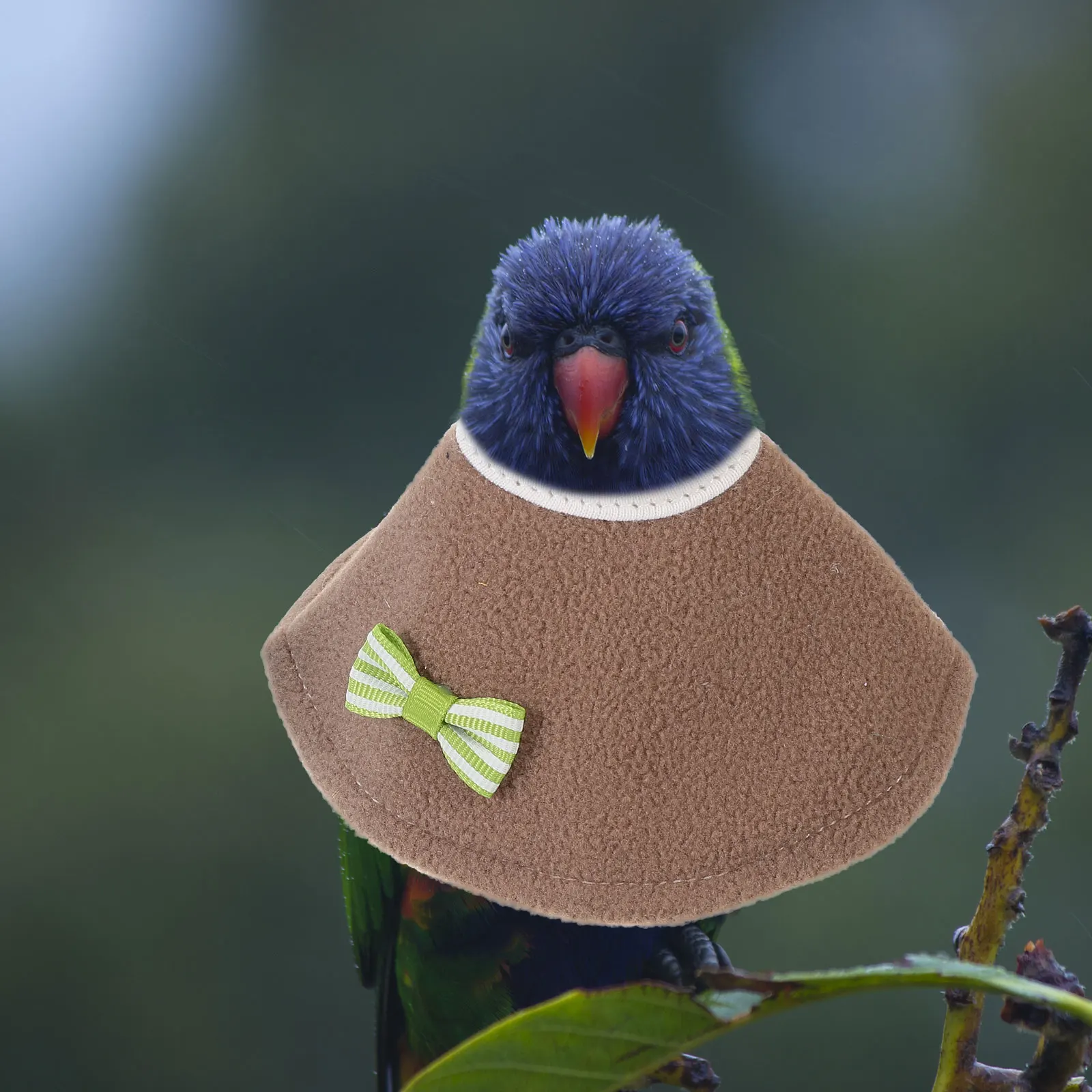 

2 Pcs Anti- Collar Cervical Bird Sweater for Parrots Cone Pet Pluck Felt Cloth Chick Adjustable