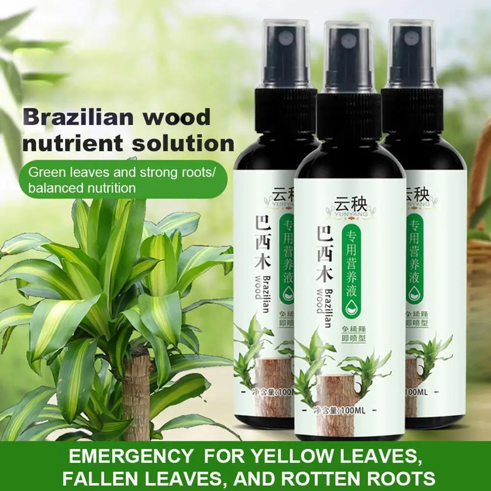 100ml Brazil Wood Special Nutrient Solution Effective Promotes Plant Health Growth Nutrients Air Purifying Home Decor