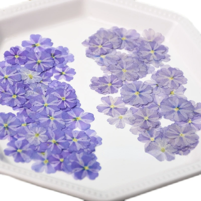 Natürliche Blütenblätter Lila Schönheit Kirschblüten, gepresste Blumen, DIY Schmuck Mini-Siegel Dropstick Handyhülle Gesichtsdekoration, 1-1,5cm/12 Stück – Detail 2