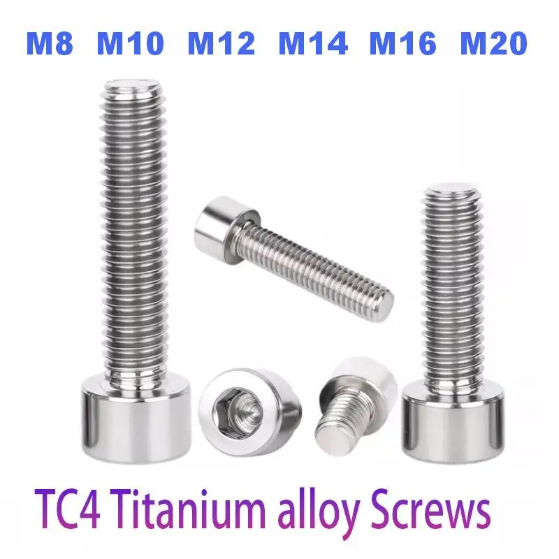 TC4 GR5 Grade 5 Titanium Alloy Socket Head Cap Screw High Strength Hexagon Allen Cylinder Head Bolt M10 M12 M16 M20