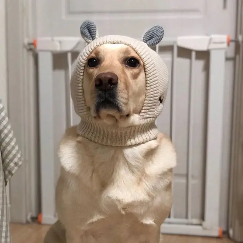 Berretto invernale caldo per cani di grossa taglia copricapo per animali domestici in maglia addensata copricapo per cani di taglia media Labrador