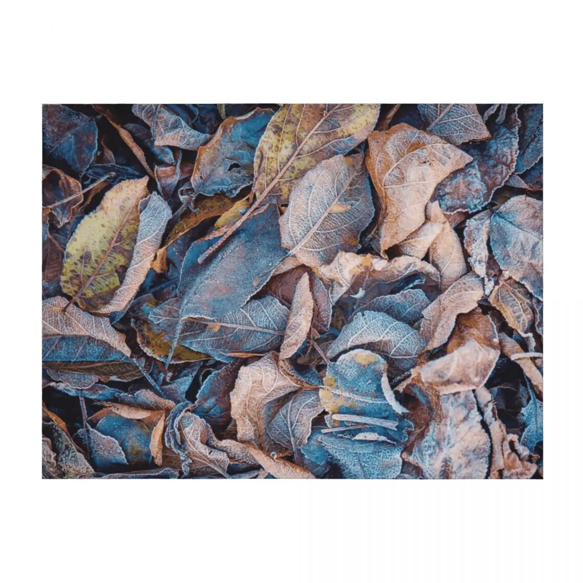 

Frosty Leaves Throw Blanket Tourist Comforter Decorative Sofa Fashion Sofas Blankets