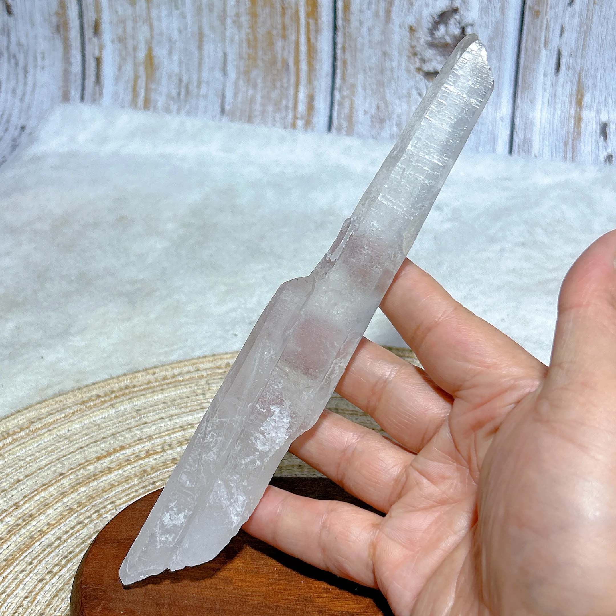 Healing Natural Crystal Clear Quartz Arborization Specimen Raw Stone Gemstones Reiki Mineral Energy Home Decorations Gift