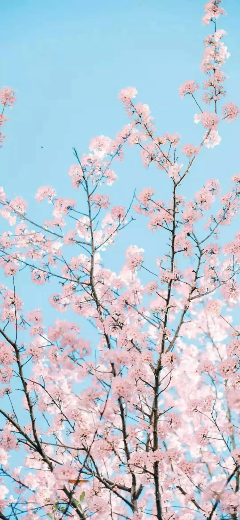 10A 30A 40A 50A 80A…