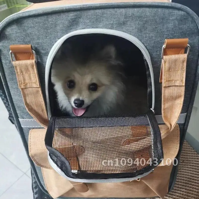 

dog accessories Dog bed Backpack French dog Chihuahua for Cat Bulldog dog backpack Poodle carrying Small ventilate backpack