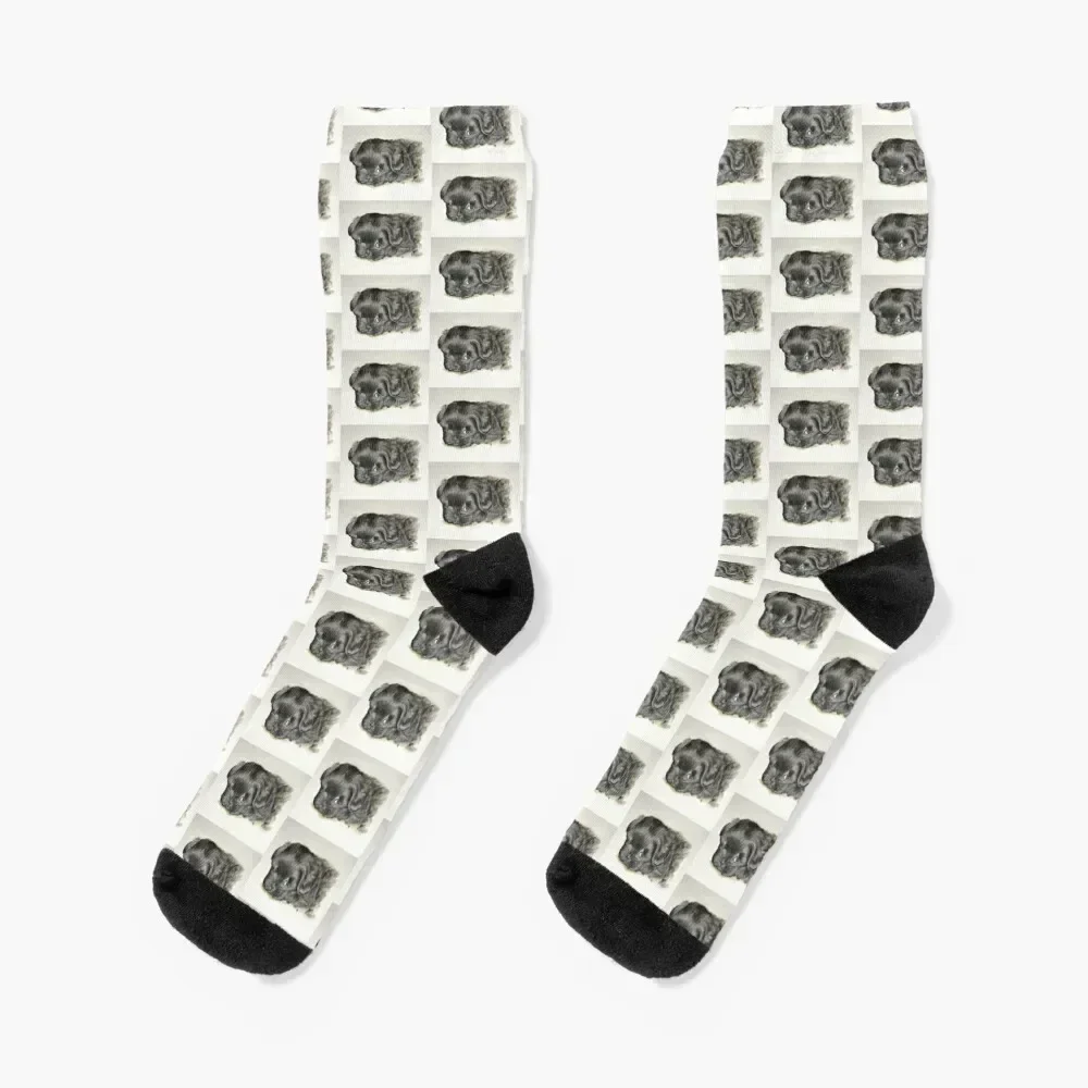 Black Shih Tzu Puppy Socks cool funny gift gifts anti-slip Socks Men's Women's