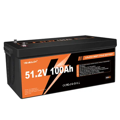 Yeagulch 48V 100Ah LiFePO4 Lithium Battery Built-in 200A BMS 5120Wh Power Low-Temp Protection for Golf Carts RV Trailers Marine