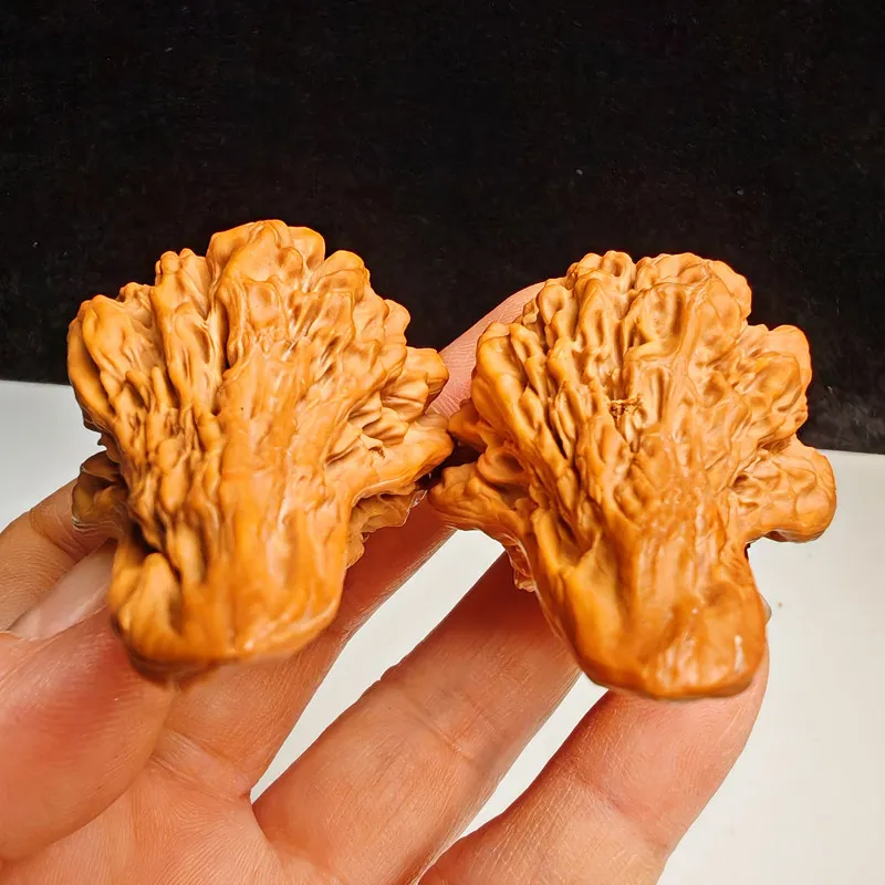 Naturalunpolished duck-billed walnuts with unique patterns a pointed irregular shape – perfect for collecting and appreci