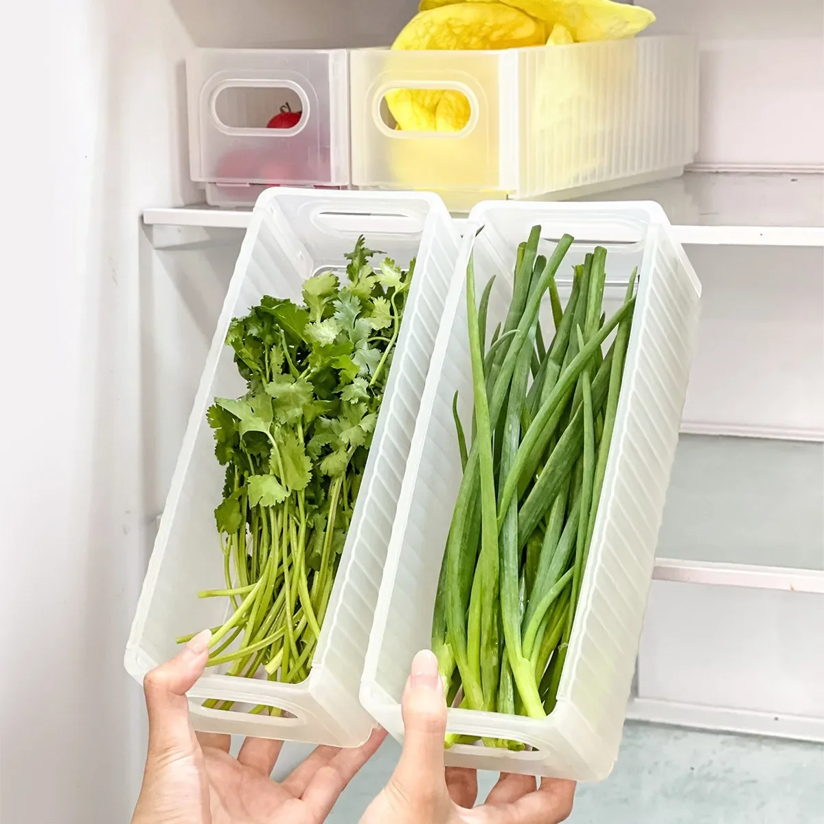 Refrigerator Folding Food Storage Box Egg Noodle Scallion Storage Container Reusable Plastic Fresh-keeping Box Kitchen Organizer