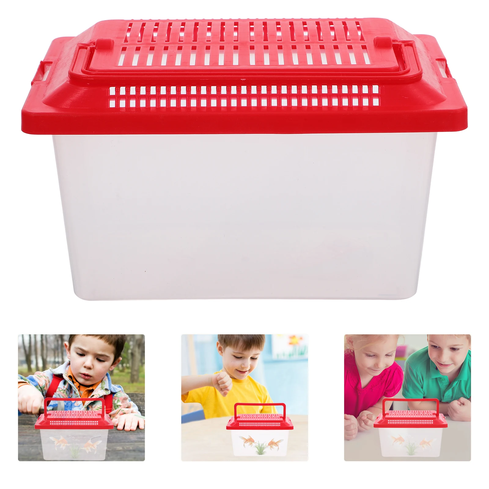 Portable Handheld Fish Box 5