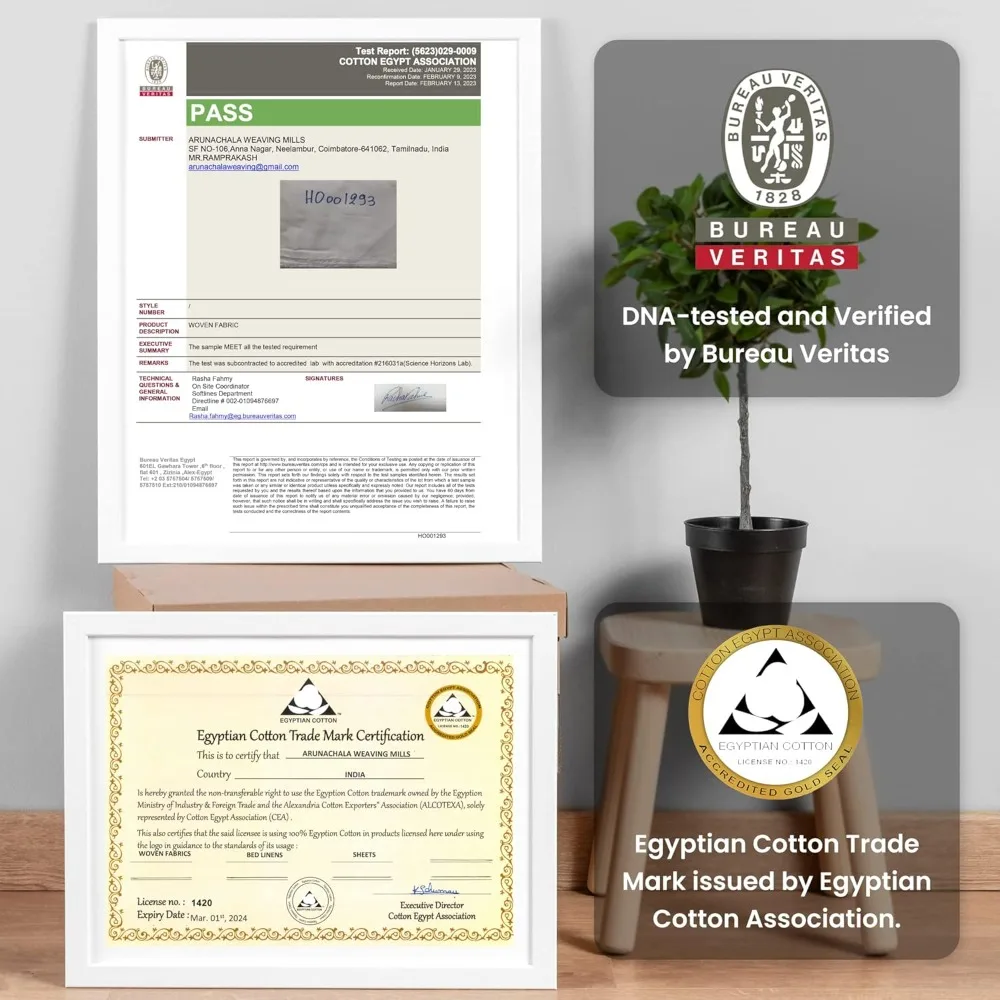 صفائح القطن المصري المعتمدة من CEA بنسبة 100% من جيزا | طقم 4 قطع | ختم الذهب المعتمد | الجيب العميق | التيلة الطويلة للغاية | نسج الساتين | عالية #2