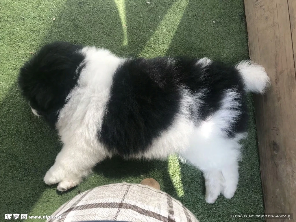 

ENRON 4P Modified Extended 7mm Wheel Hex Hub & Pins 8.5MM Thickness Upgrade for RC Adults Crawler 1/24 Axial SCX24 90081 C10