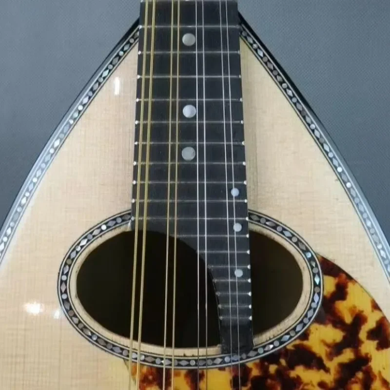 Musical Instrument Junior Professional Instrument