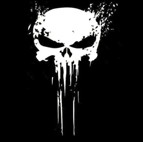 Punisher logo sticker skull car sticker waterproof sticker auto parts decorative pattern car decor  car sticker