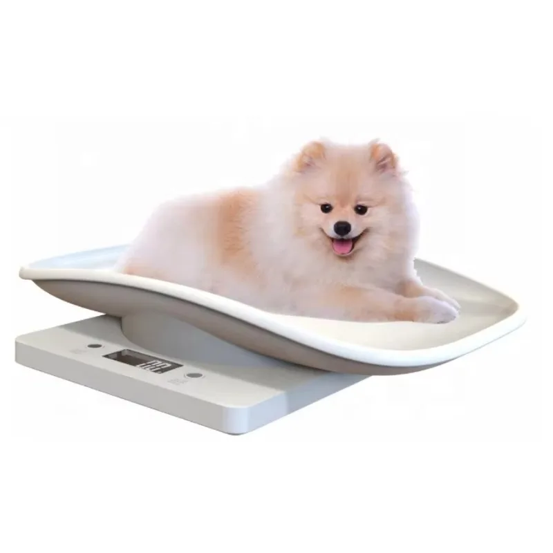 Small Mini Animal Baby Dog Cat Puppy Kitten Weight Weighing Scale for Puppies Pet Weighing