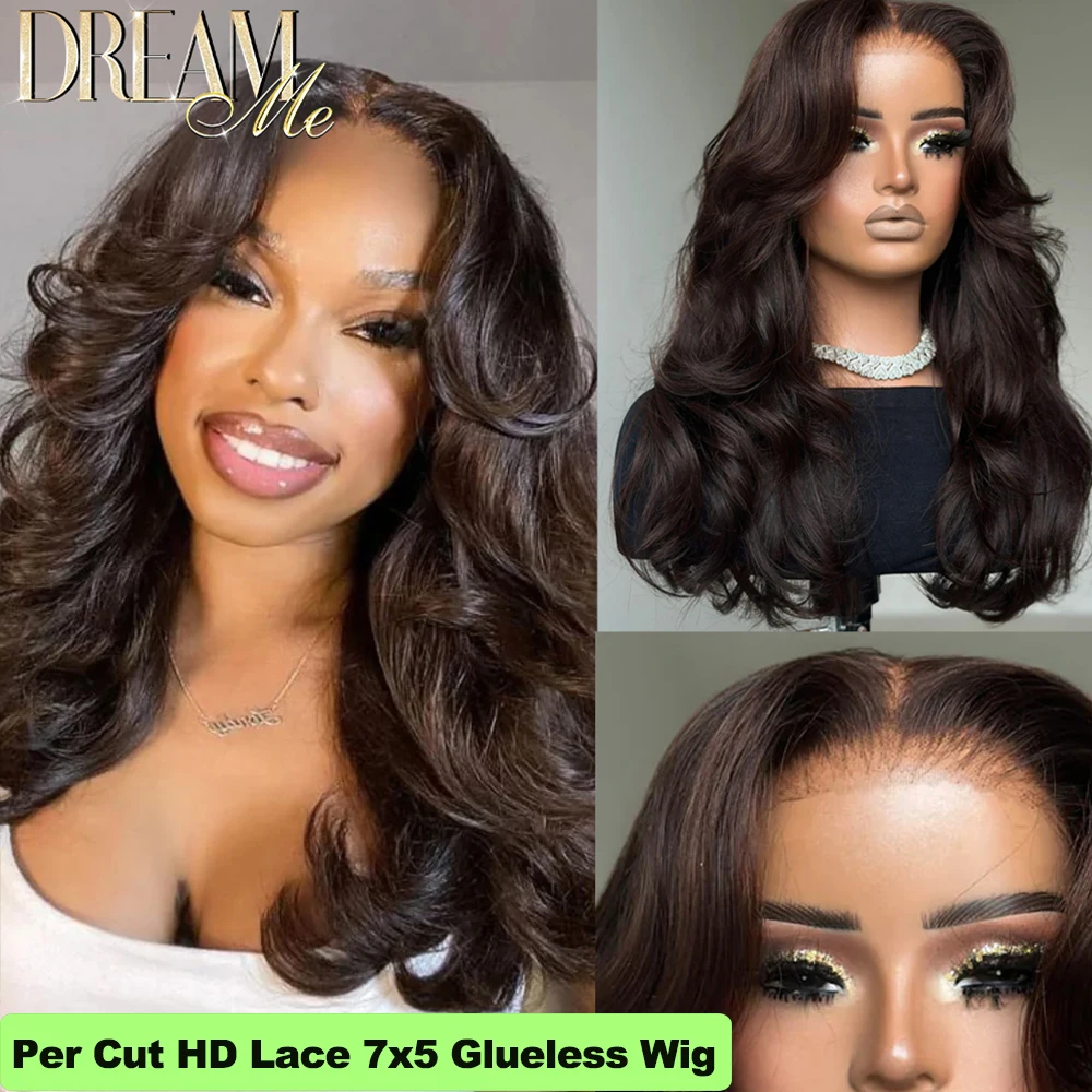 250% Pre Everything 7x5 HD Lace Closure Wigs Chocolate Brown Straight Hair Wigs Melt Skins 360 HD Glueless Human Hair Wigs