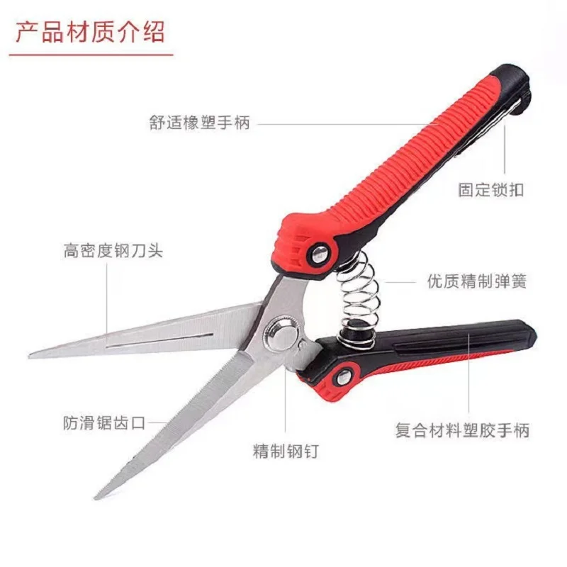 Professional stainless steel orchard fruit picking pruning shears grape thin fruit scissors pruning fruit branch branch scissors