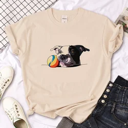Amstaff tshirt women funny t-shirts girl anime 2000s manga clothing
