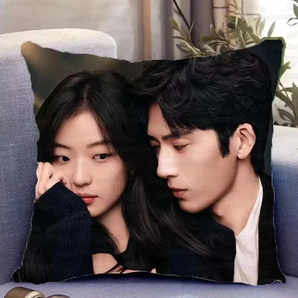 Jing Boran Sun Qian Pillowcase TV The Early Spring Luke Luan Nian Shang Zhitao Drama Stills Home Car Sofa Decor Cushion Cover