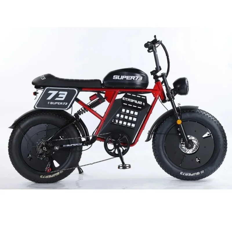 Warehouse in China-speed Transmission Off-road Bike 48V 500W 20*4.0 Fat Tire LCD Mountain Adults