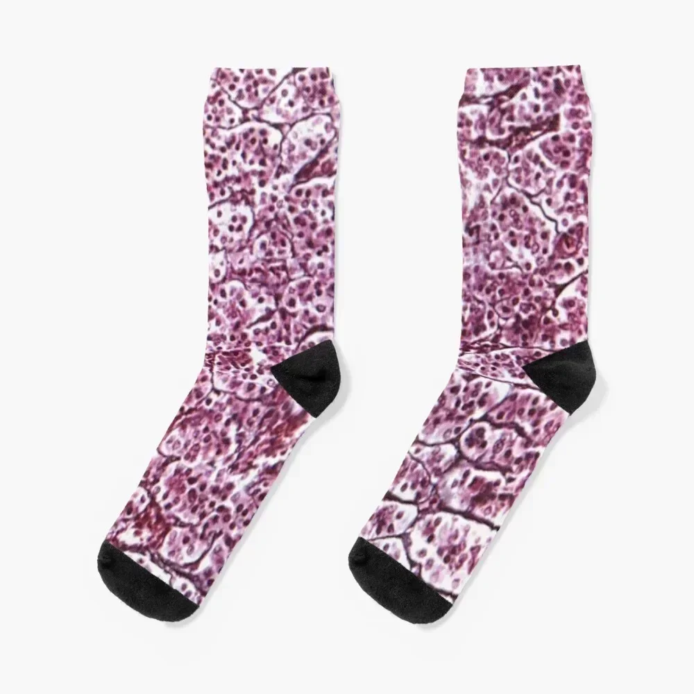 

Reticular fibers Socks retro cotton new year Sports Girl'S Socks Men's