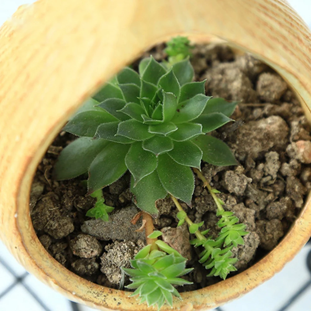 

Iron Frame Hanging Basket Flower Pot Plant Holder For Home Office Garden Decor Ceramic Vase Indoor Outdoor Use Plant