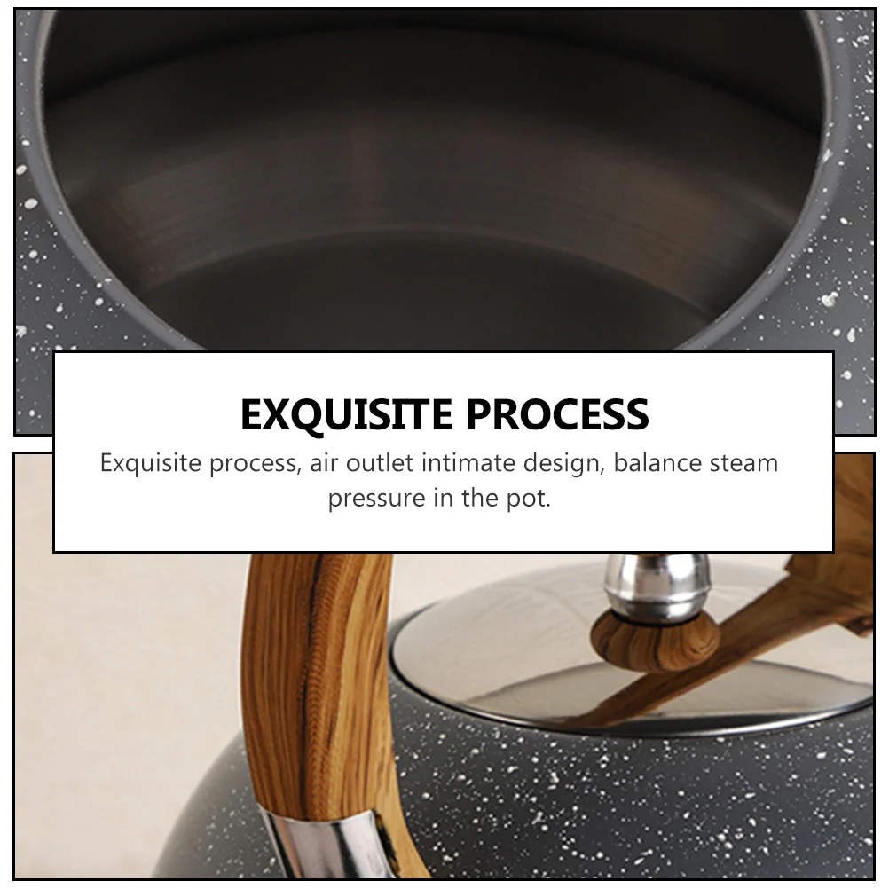 

2.5L Stainless Steel Whistling Kettle Exquisite Design Huge Spout Straight Tube Smooth Grade Filter Long Life Easy