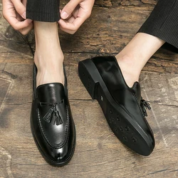 Classic Men Casual Loafers Driving Shoes Moccasin 2025 Fashion Male Comfortable Summer Leather Shoes Men Lazy Tassel Dress Shoes
