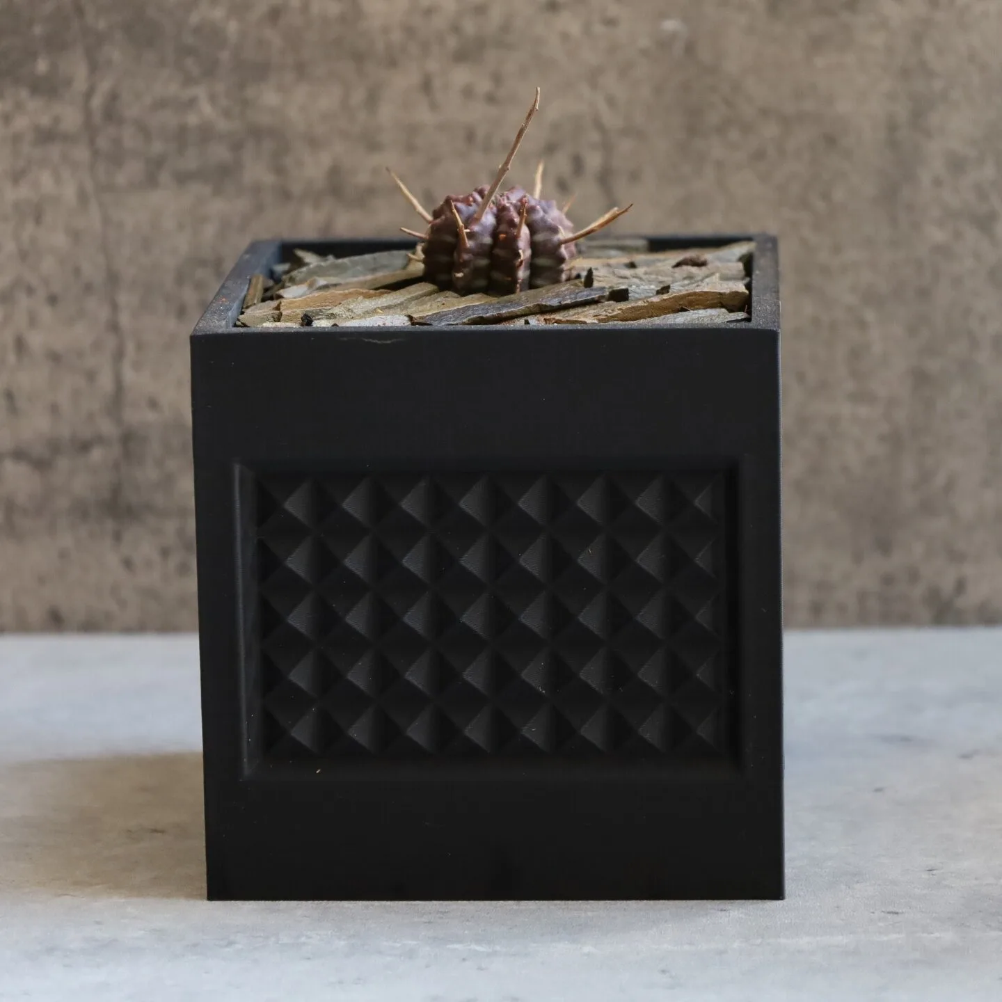 Breathable Planter for Rare Cacti Collection | Fast-Draining Pot for Astrophytum, Ariocarpus, Agave & Caudex Plants