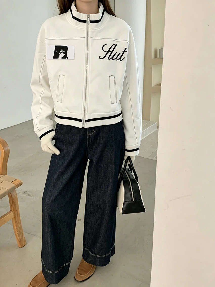 Women Y2K Cropped Zip Up Jacket Fashion Anime Girl Print Stand Collar Striped Long Sleeve Casual Streetwear Sweatshirt Outerwear